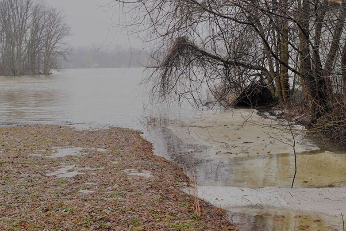Berge inondée en période de crue, eau montant aux pieds des arbres dénudés dans un paysage automnal brumeux