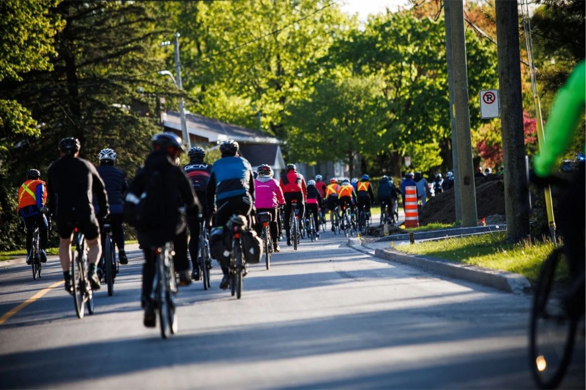 Long peloton de cyclistes progressant silencieusement sur une rue bordée d'arbres lors du Tour du Silence à Terrebonne