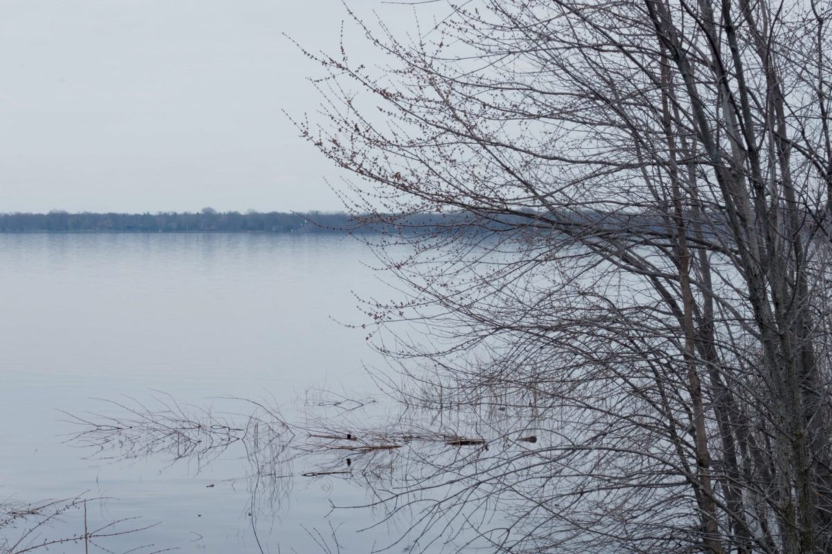 Vue d’un plan d’eau calme bordé d’arbres aux branches nues, avec des végétaux partiellement submergés sous un ciel gris et brumeux.