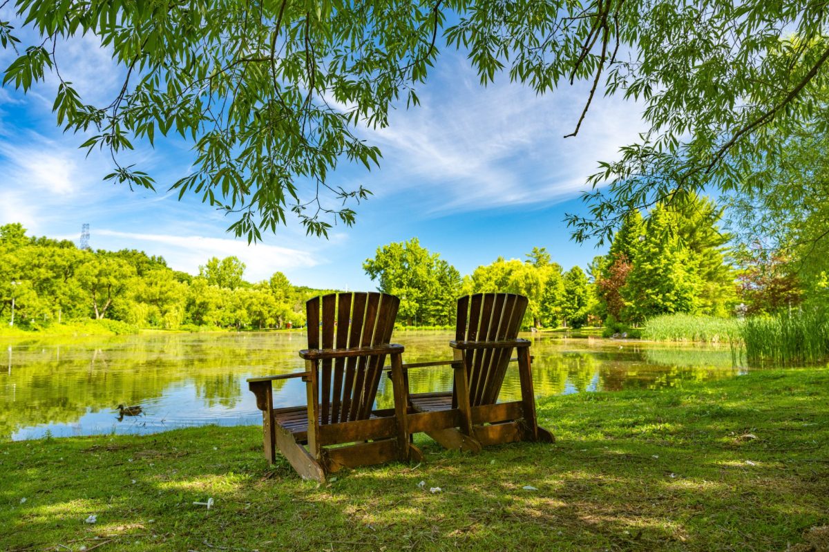 Deux chaises Adirondack en bois face à un étang calme dans un parc verdoyant, sous des branches de saule, par ciel bleu estival