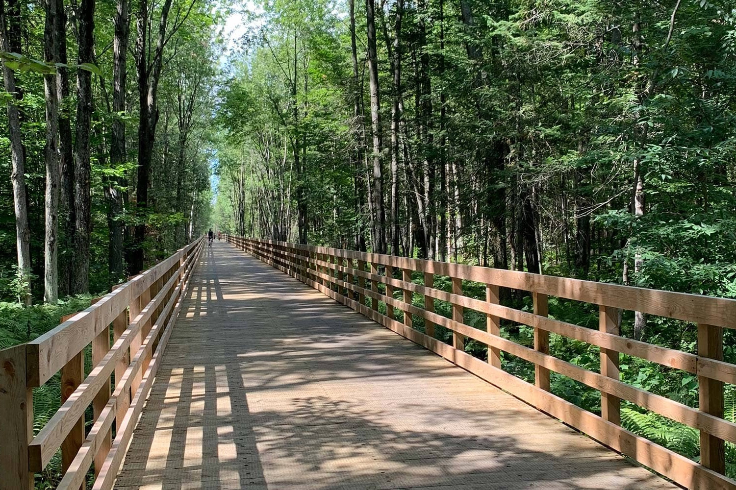 Longue passerelle en bois avec garde-corps traversant une forêt dense aux feuillages verts, sous une lumière estivale ensoleillée